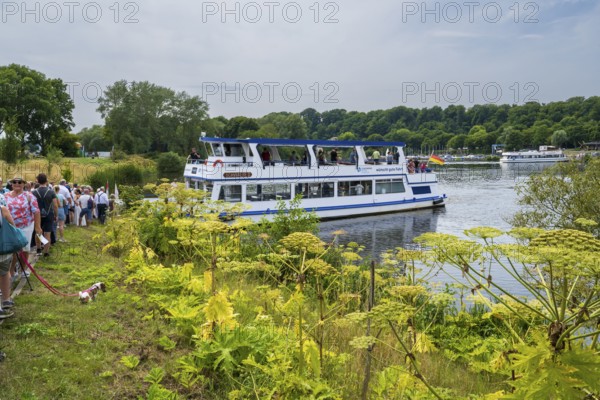 Schwalbe II landing stage at Oelbach, Lake Kemnader, people boarding and disembarking, Heveney, Witten, Ruhr area, North Rhine-Westphalia, Germany