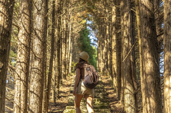 Female tourist wearing hat and backpack walking up stone steps in a beautiful tunnel formed by cypress trees in benia de onis, asturias, spain, enjoying a sunny summer day surrounded by nature