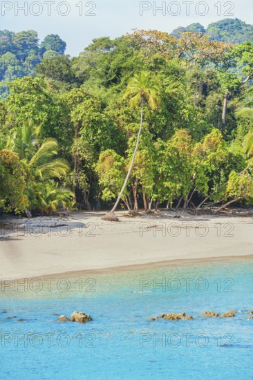 Tropical beach, Manuel Antonio National Park, Quepos, Costa Rica