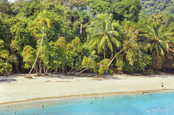 Tropical beach, Manuel Antonio National Park, Quepos, Costa Rica