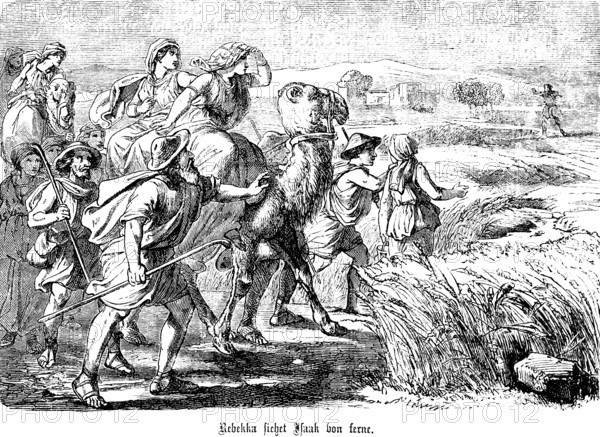 Rebekah sees Isaac in the distance, agriculture, fields, group, camel, rider, cornfield, friends, marriage, First Book of Genesis, chapter 18, Genesis, Old Testament, Bible, historical illustration 1877