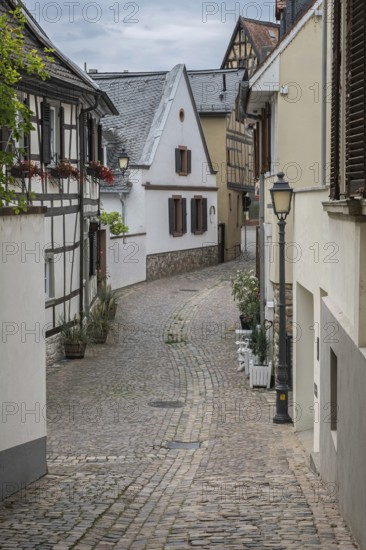 Narrow alley in the old town centre of Eltville, Rheingau, Hesse, Germany