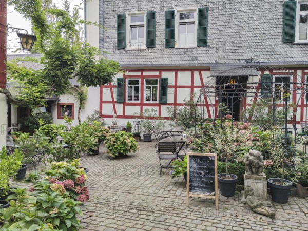 A rustic courtyard with a half-timbered house, surrounded by plants and flowers on cobblestones, Eltville, Rheingau, Hesse, Germany