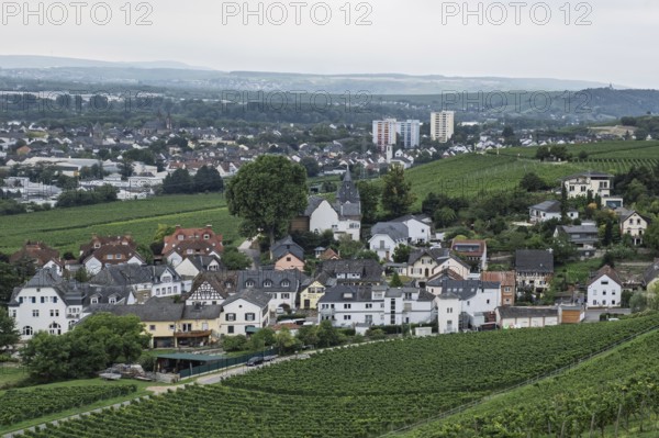 Small village surrounded by vineyards with a background of green hills and cloudy sky, Hesse, Germany