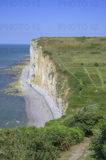 Hiking trail at Valleuse d'Etigue, hike from Etretat to Yport along the chalk cliff coast, Seine-Maritime department, France