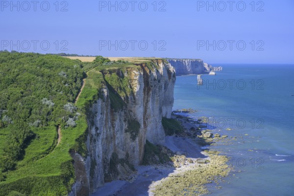 Hike from Yport to Etretat along the chalk cliff coast, Seine-Maritime department, France