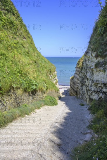 Old concrete access road in the Valleuse d'Etigue, hike from Yport to Etretat along the chalk cliff coast, Seine-Maritime department, France