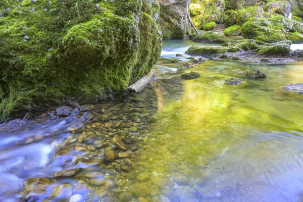Erlauf Gorge, Purgstall an der Erlauf, Lower Austria, Austria