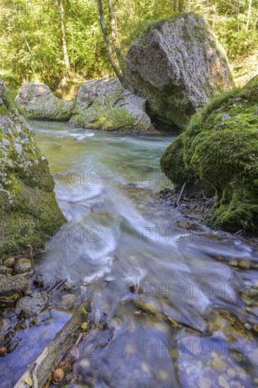 Erlauf Gorge, Purgstall an der Erlauf, Lower Austria, Austria