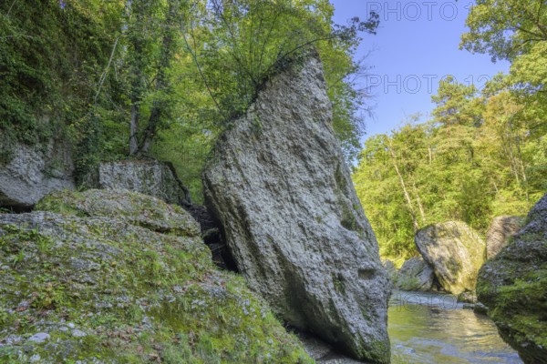 Conglomerate rocks in the Erlauf gorge, Purgstall an der Erlauf, Lower Austria, Austria