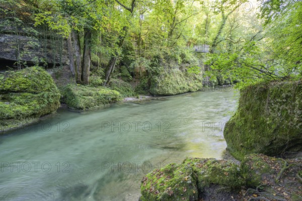 Viewing platform in the Erlauf Gorge, Purgstall an der Erlauf, Lower Austria, Austria