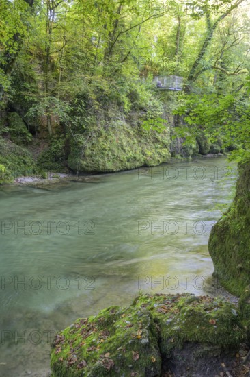 Viewing platform in the Erlauf Gorge, Purgstall an der Erlauf, Lower Austria, Austria