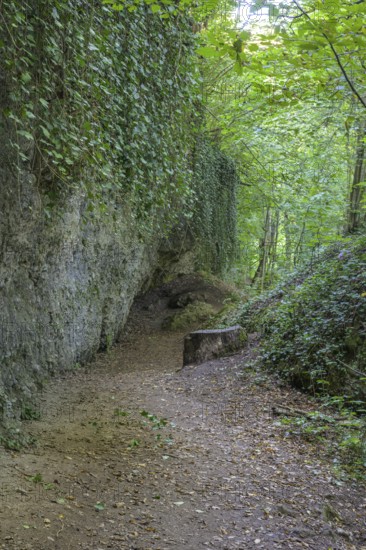 Hiking trail in the Erlauf gorge, Purgstall an der Erlauf, Lower Austria, Austria