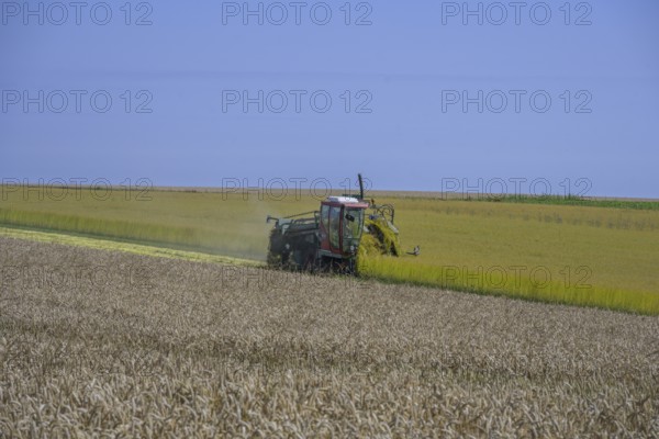 In the foreground grain field, behind it a linseed harvester, Yport, Seine-Maritime department, France