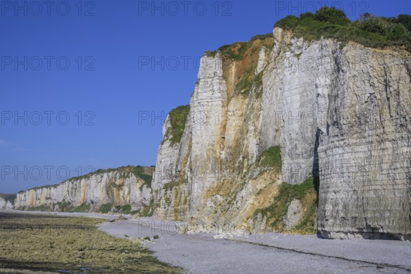 Chalk cliffs at low tide, Yport, Département Seine-Maritime, France