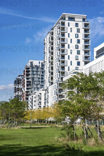 Modern residential neighbourhood along Toulouser Allee, high-rise buildings with flats and offices, on former railway premises, North Rhine-Westphalia, Germany
