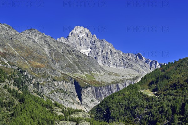 Aiguille du Chardonnet, front foothills of the Argentière glacier, Argentière, Chamonix-Mont-Blanc, Haute-Savoie, France