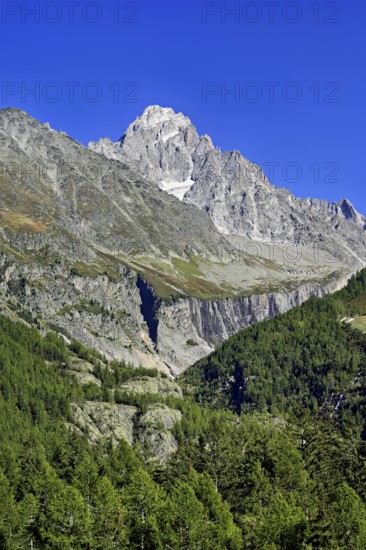 Aiguille du Chardonnet, front foothills of the Argentière glacier, Argentière, Chamonix-Mont-Blanc, Haute-Savoie, France