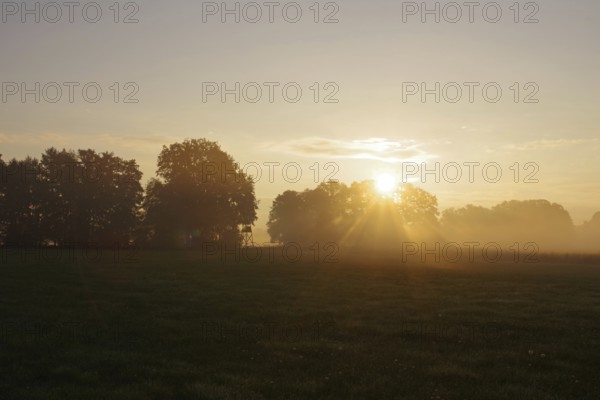 Landscape, Sunrise, Meadow, High seat, Mood, Autumn, North Rhine-Westphalia, Germany, In the morning mist, the sun casts its rays between the trees onto the grass of the meadow
