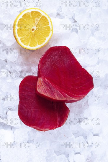 Fresh tuna and lemon, on ice ready, for preparation, at a seafood market