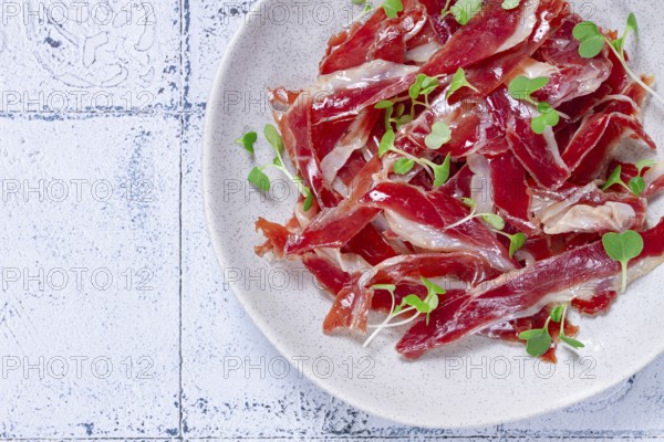Ham of duck breast, dried duck fillet, with microgreens, plate, on a tiled table