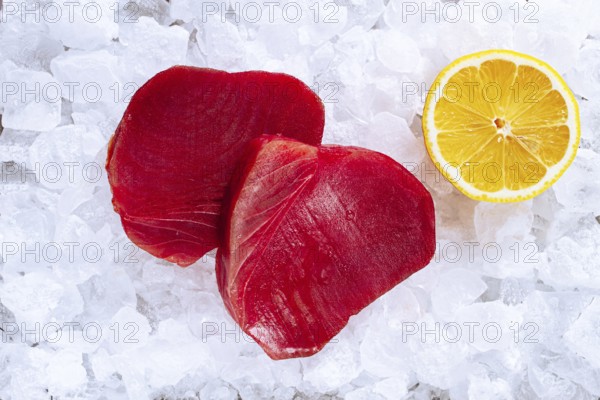 Fresh tuna and lemon, on ice ready, for preparation, at a seafood market