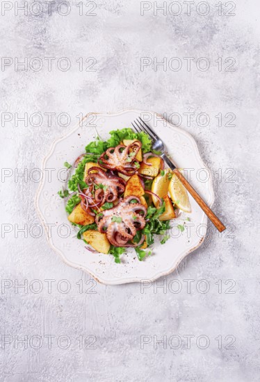 Grilled octopus with baked potatoes and fresh herbs, on a decorative light plate, homemade, no people
