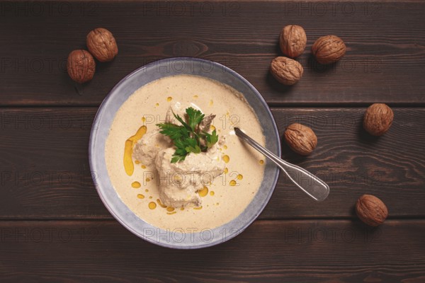 Satsivi, Georgian dish, chicken in nut sauce, cold appetizer, rustic, no people, homemade