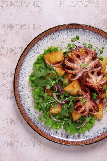 Grilled octopus with baked potatoes and fresh herbs, on a decorative plate, homemade