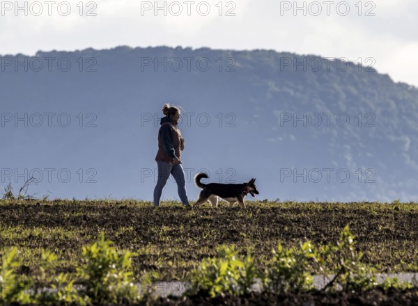 Walking in the backlight. Dog owner with her dog. Kirchheim unter Teck, Baden-Württemberg, Germany