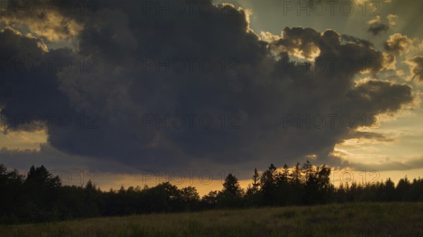 Dense cloud cover at sunset, atmospheric ambience with silhouettes of trees against a dramatic sky. NSG heaths and rough grassland near Trupbach, Siegen