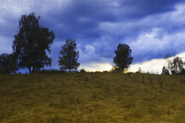 Trees in a field with a dramatic cloudy sky in blue and yellow tones. Heaths and rough grassland nature reserve near Trupbach, Siegen