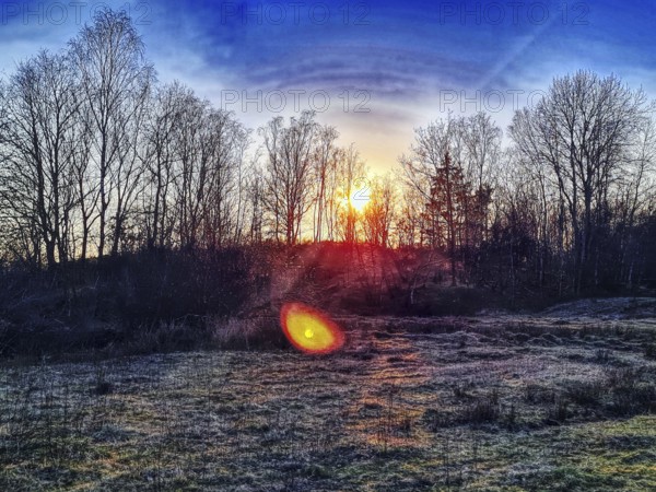 Sunset behind trees with purple-coloured sky and luminous atmosphere. Heaths and rough grassland nature reserve near Trupbach, Siegen