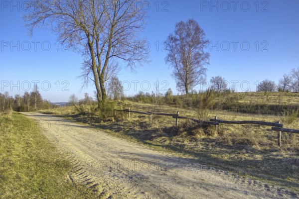 Straight field path with trees and fence under a deep blue sky. NSG heathland and rough grassland near Trupbach, Siegen