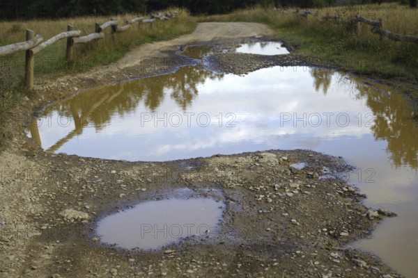 Wet, muddy path with large puddles and a wooden fence next to it. Heath and rough grassland nature reserve near Trupbach, Siegen