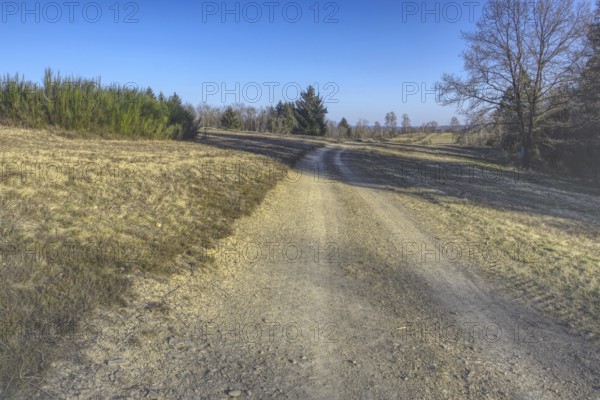Gravel path between fields and trees under a clear blue sky. NSG heaths and rough grassland near Trupbach, Siegen