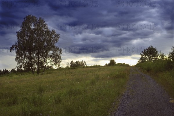 Tranquil landscape with a dirt track and threatening clouds in the sky. NSG heaths and rough grassland near Trupbach, Siegen