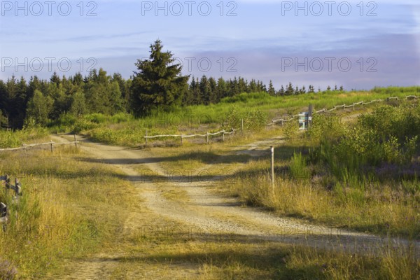A dirt track through a heath landscape with trees and signs under a blue sky. NSG heathland and rough grassland near Trupbach, Siegen