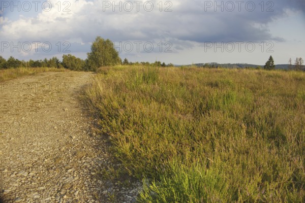 Gravel path through a rural meadow under a cloudy sky. Natural, peaceful surroundings. NSG heaths and rough grassland near Trupbach, Siegen