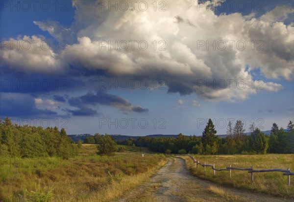 Rural path through a grassy landscape, dramatic cloud formations in the blue sky. NSG heaths and rough grassland near Trupbach, Siegen