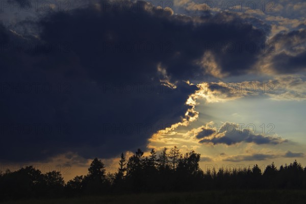 Dramatic cloud formations at sunset, trees silhouetted against a colourful evening sky. Heaths and rough grassland nature reserve near Trupbach, Siegen