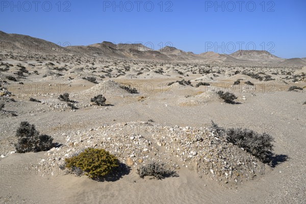 Diamond mining mound in the desert sand at the beginning of the 20th century, Pomona, restricted diamond area, near Lüderitz, Karas region, Namibia