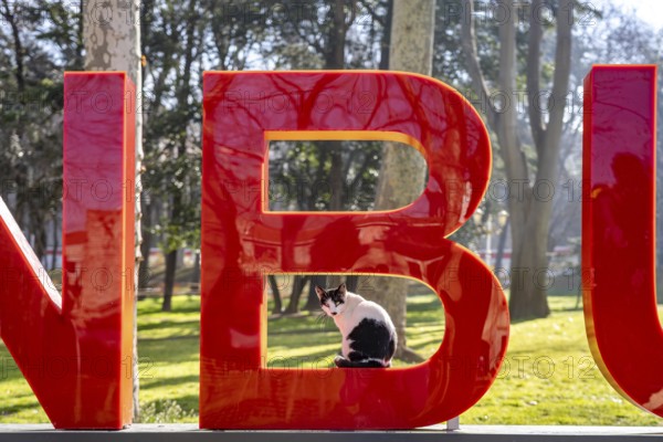 Cat sitting in the letter B of the Istanbul lettering in Gülhane Park in Istanbul, Turkey