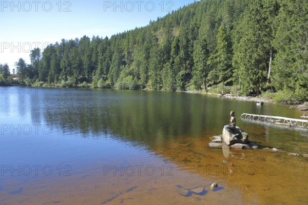Mermaid sitting on a rock in the water, bronze sculpture, modern art, lake nymph, stone, forest, landscape, lakeside, Karsee, Mummelsee, Honrisgrinde, Black Forest High Road, Northern Black Forest, Black Forest, Baden-Württemberg, Germany