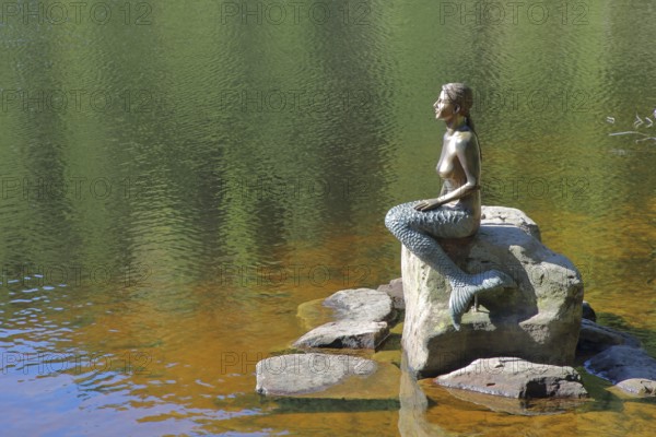 Mermaid sitting on a rock in the water, bronze sculpture, modern art, lake nymph, stone, Mummelsee, Honrisgrinde, Black Forest High Road, Northern Black Forest, Black Forest, Baden-Württemberg, Germany