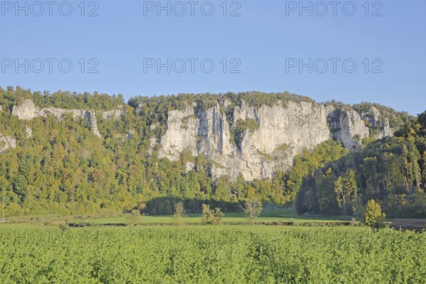 Shovel rocks, landscape, rock formations, rock cliffs, rocks, mountains, nature photography, Neidlingen, Beuron, Upper Danube Valley, Swabian Alb, Baden-Württemberg, Germany