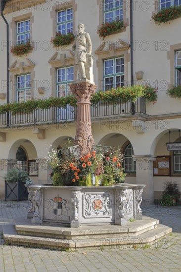 Monument to Count Johann von Hohenzollern-Sigmaringen, sculpture, market fountain built in 1826, Sigmaringen, Swabian Alb, Baden-Württemberg, Germany