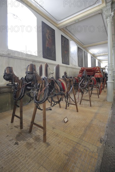 Carriages in the Marstallmuseum, interior view, Marstall, Hohenzollern Palace, Sigmaringen, Swabian Alb, Baden-Württemberg, Germany