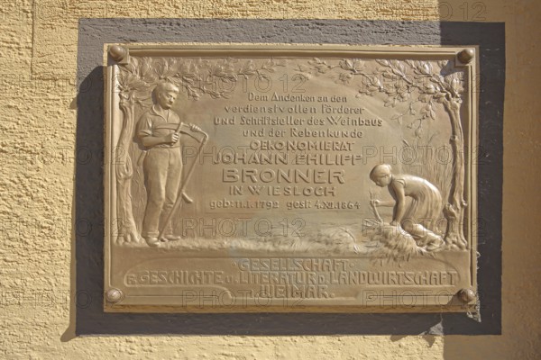 Memorial plaque with inscription and relief to pharmacist, winegrower and writer Johann Philipp Bronner, text, winegrower, viticulture, wine culture, vines, breeder, agriculture, farmer with scythe and farmer's wife, harvest, figures, monument, Bronner House, Unterer Markt, Wiesloch, Baden-Württemberg, Germany