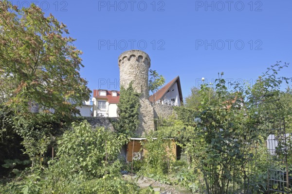 Historic defence defence tower built in the 14th century, town wall, town fortification, allotment garden, Wiesloch, Baden-Württemberg, Germany
